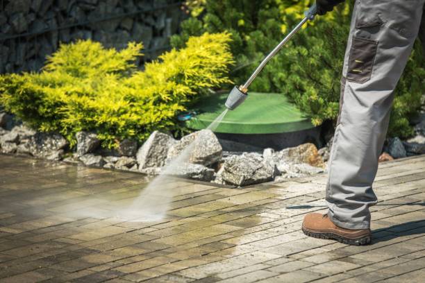 Boat and Dock Cleaning in San Ysidro, NM